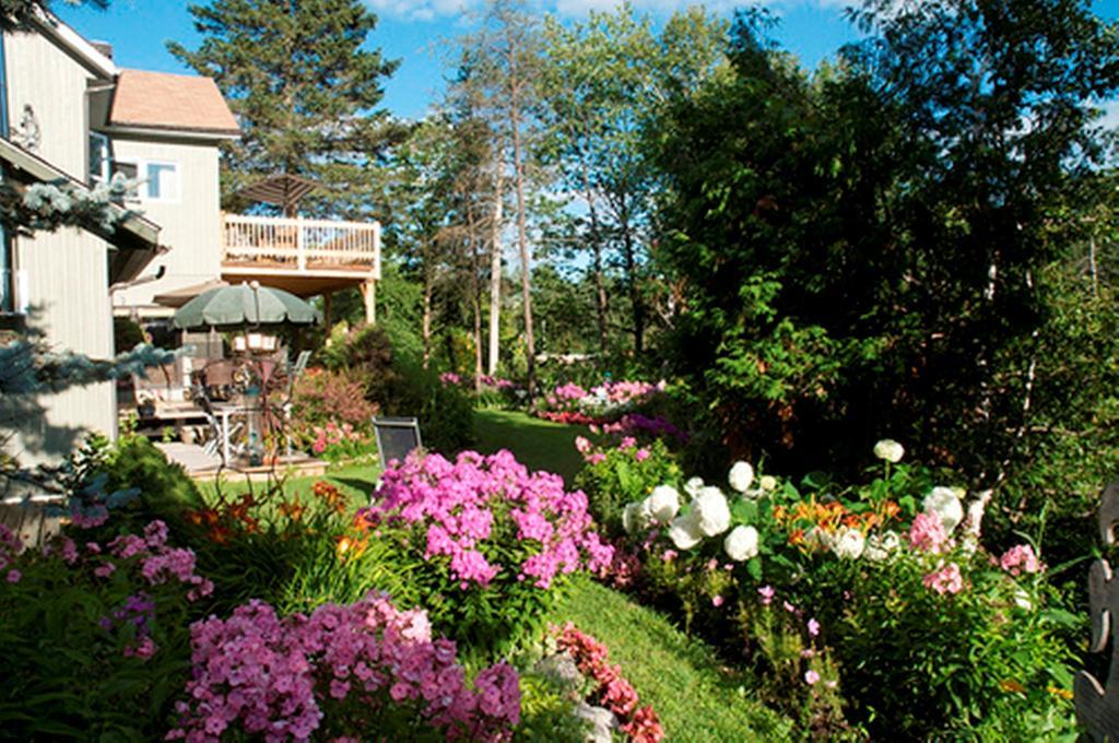 Gite Au Pied Du Courant De Gilbert Desjardins มองต์-ลอริเยร์ ภายนอก รูปภาพ